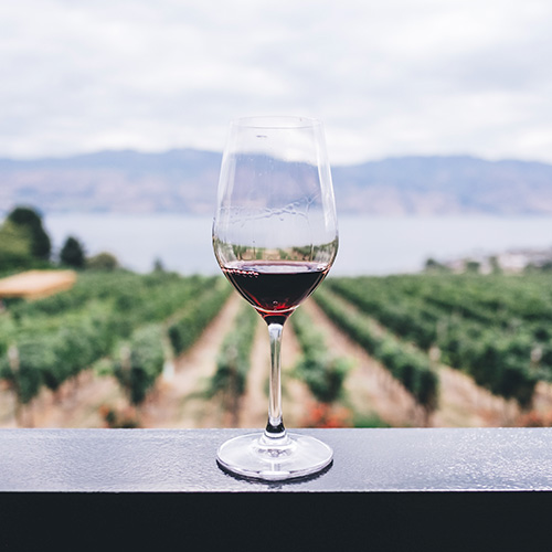 The Wines | Bodega El Poblet