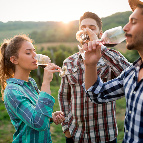 Los Vinos | Bodega El Poblet