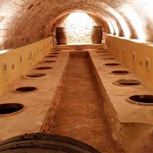 Boutique | Bodega El Poblet